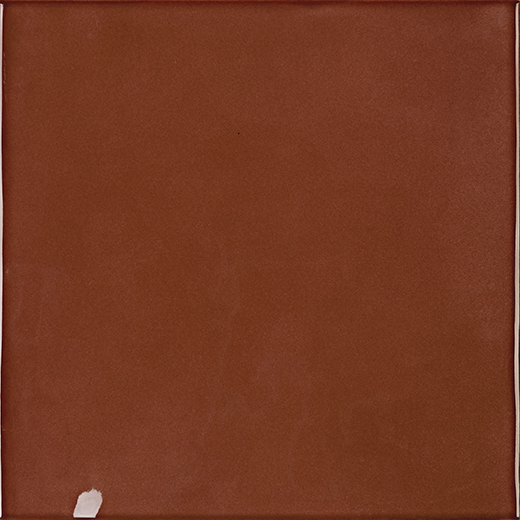 Matisse Brugnon Glossy 6"x6 | Ceramic | Wall Tile