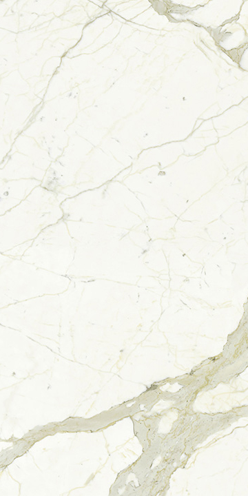 Outlet Max Fine Calacatta Polished 30"x60" 6mm | Through Body Porcelain | Floor/Wall Tile
