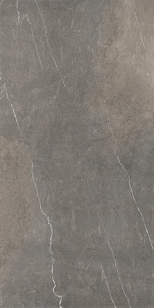 Maximus Alpine Brown Matte Lithos 63"x126" | Color Body Porcelain | Slab