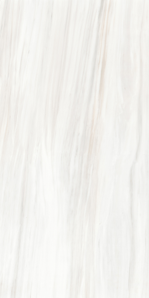 Maximus Bianco Lasa Matte Silk 63"x126" | Color Body Porcelain | Slab