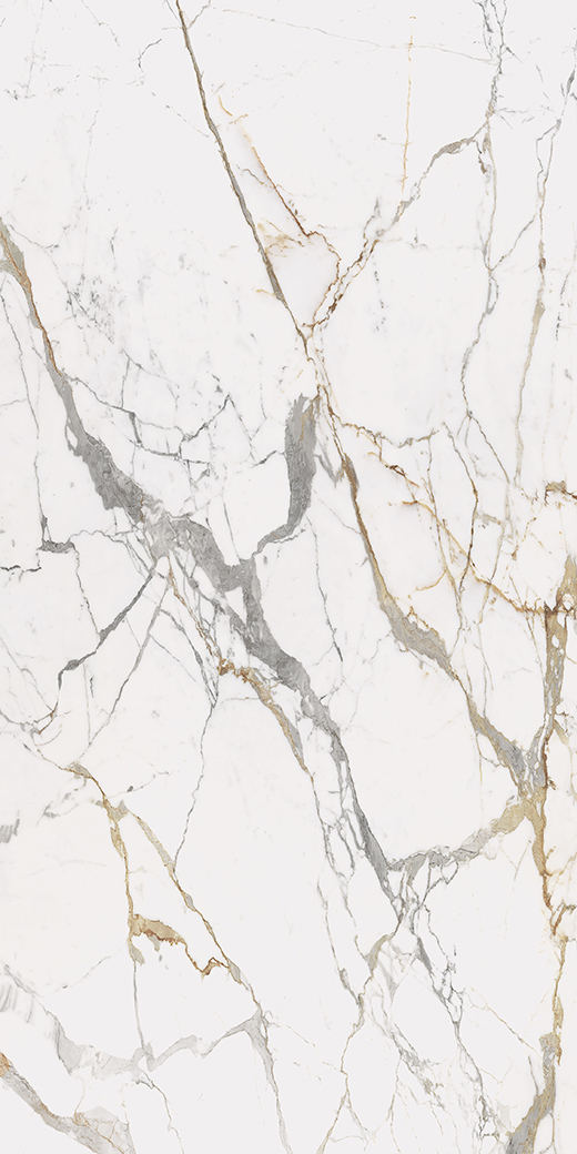 Maximus Eternal Gold Matte Silk 63"x126" Bookmatch A | Color Body Porcelain | Slab