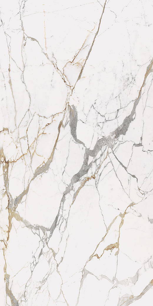 Maximus Eternal Gold Matte Silk 63"x126" Bookmatch B | Color Body Porcelain | Slab