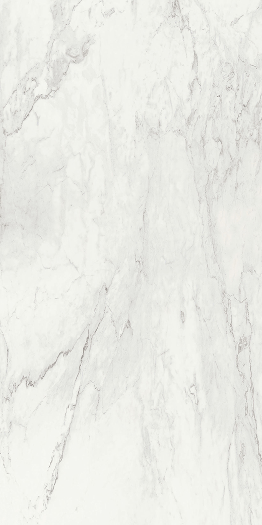Maximus Marble Calacatta Velvet Silk 63"x126" Bookmatch B | Color Body Porcelain | Slab