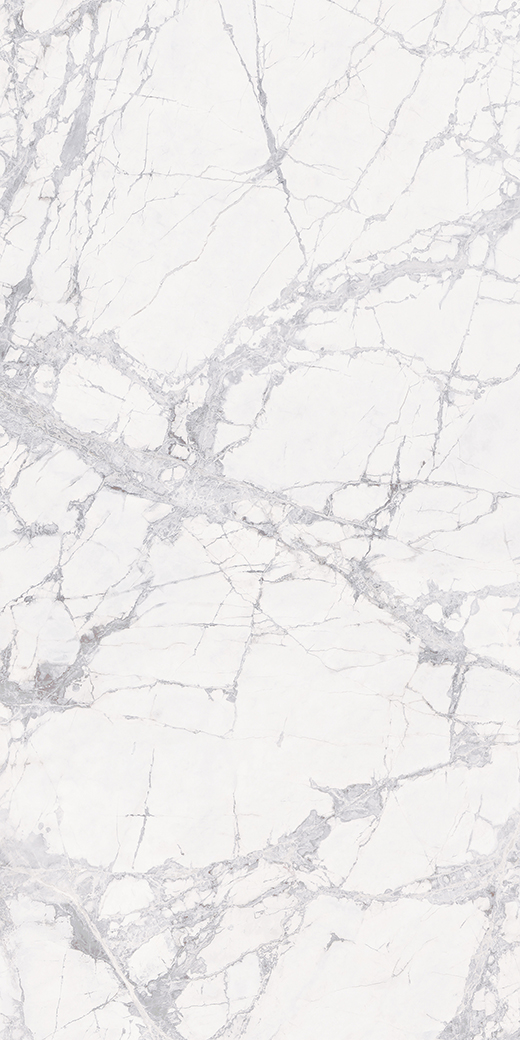 Maximus Marble White Matte Silk 63"x126" Bookmatch A | Color Body Porcelain | Slab