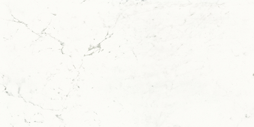 Montblanc Carrara Natural 24"x48 | Color Body Porcelain | Floor/Wall Tile