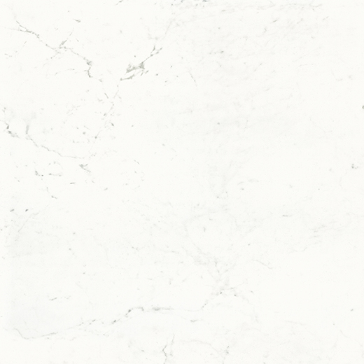 Montblanc Carrara Natural 48"x48 | Color Body Porcelain | Floor/Wall Tile
