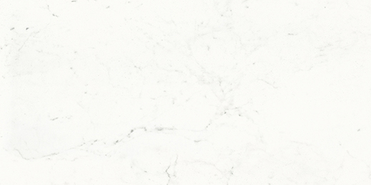 Montblanc Carrara Polished 12"x24 | Color Body Porcelain | Floor/Wall Tile