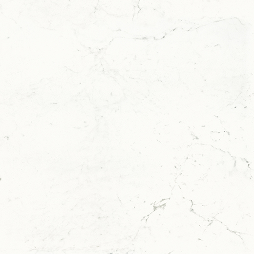 Montblanc Carrara Polished 48"x48 | Color Body Porcelain | Floor/Wall Tile