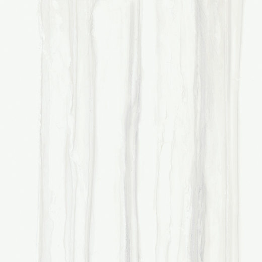 Montblanc Zebrino Polished 24"x24 | Color Body Porcelain | Floor/Wall Tile