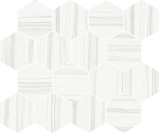 Montblanc Zebrino Polished Hexagon Mosaic | Color Body Porcelain | Mosaic