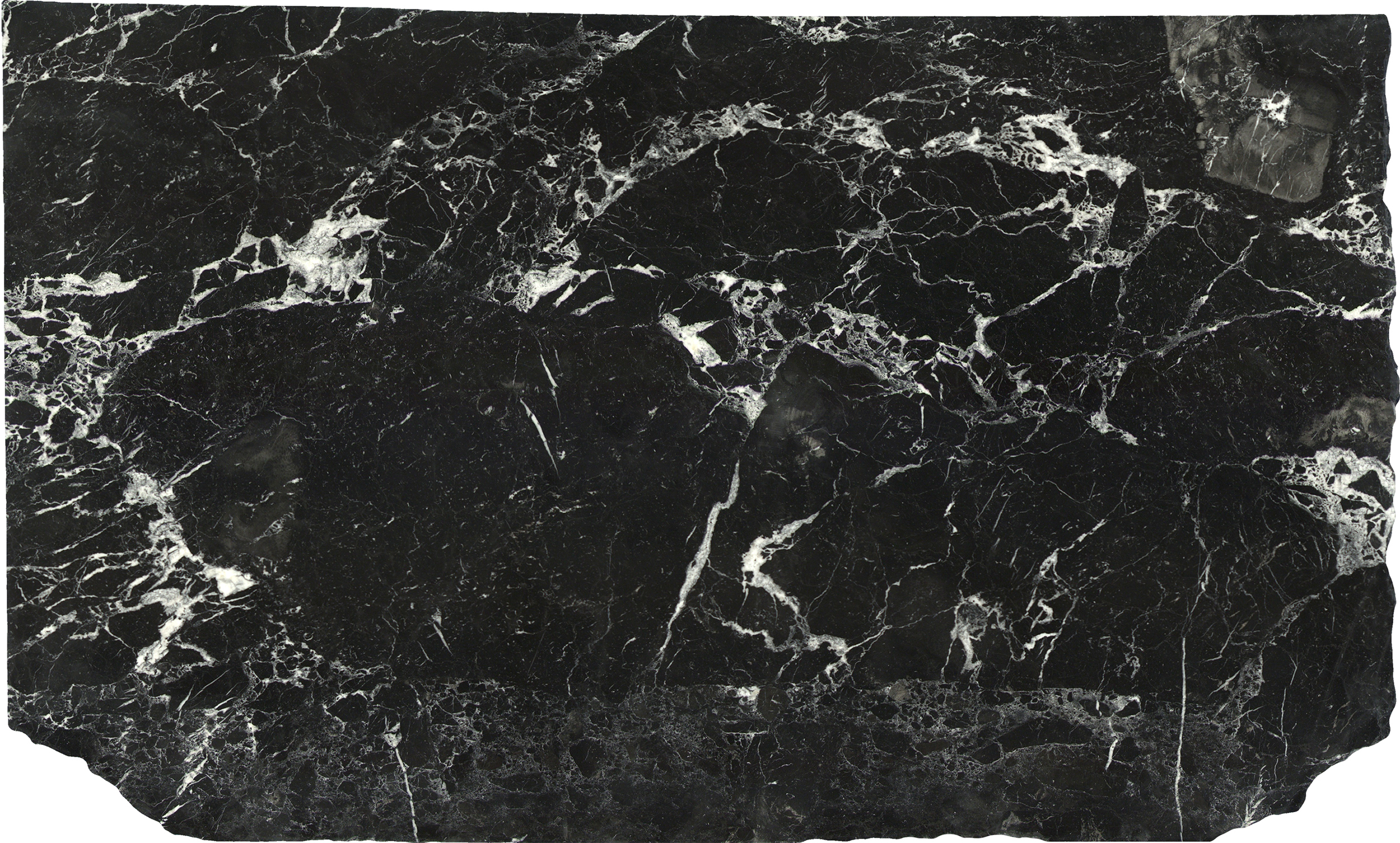 Nero Marquina Slab Nero Marquina Honed 2cm | Marble | Slab