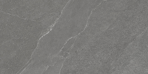 North Chromium Matte 12"x24" | Color Body Porcelain | Floor/Wall Tile