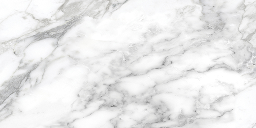 Nuvo Marble Arabescato Honed 12"x24 | Glazed Porcelain | Floor/Wall Tile