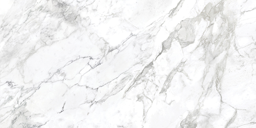 Nuvo Marble Arabescato Honed 24"x48 | Glazed Porcelain | Floor/Wall Tile