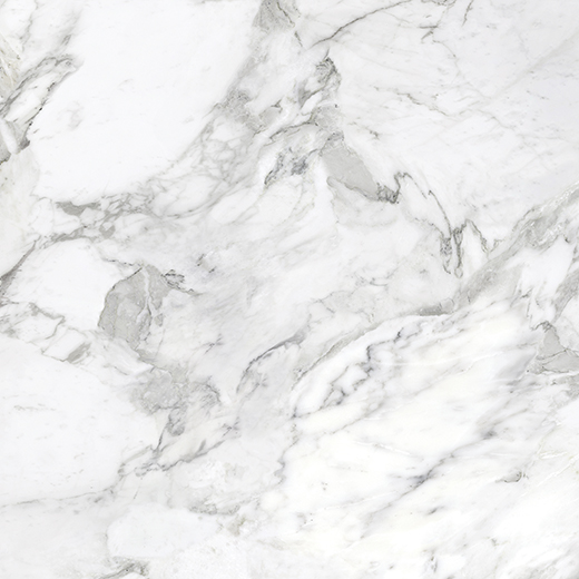 Nuvo Marble Arabescato Honed 32"x32 | Glazed Porcelain | Floor/Wall Tile