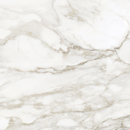 Nuvo Marble Calacata Paonazzo Polished 32"x32 | Glazed Porcelain | Floor/Wall Tile