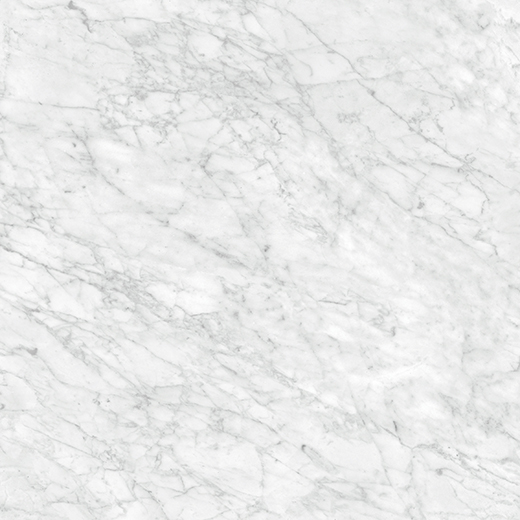 Nuvo Marble Carrara Gioia Polished 32"x32 | Glazed Porcelain | Floor/Wall Tile