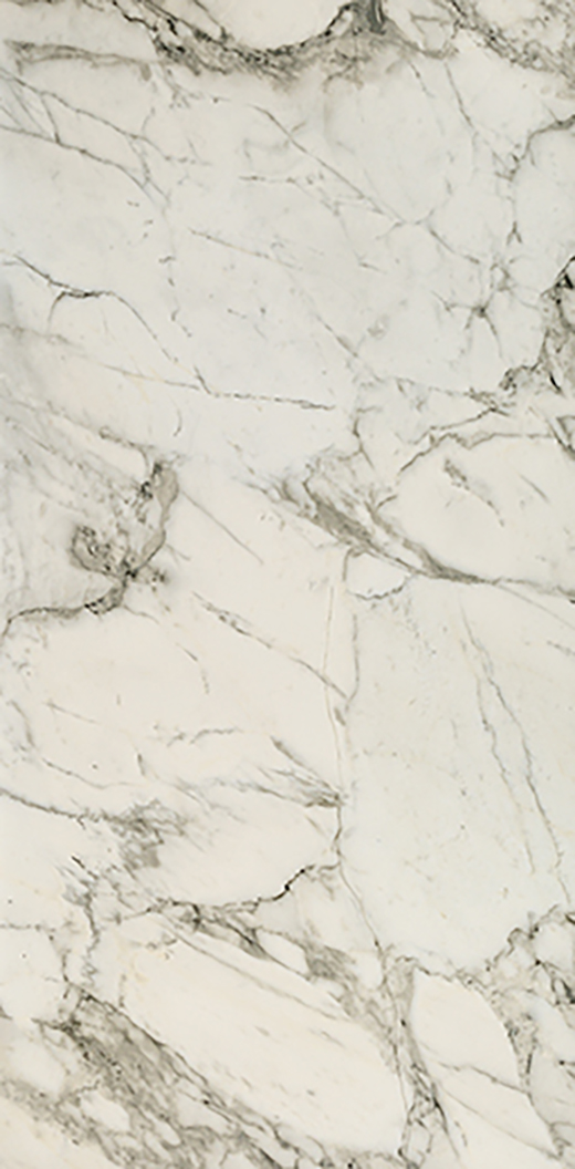 Odyssey Arabescato Matte 12"X24 | Color Body Porcelain | Floor/Wall Tile