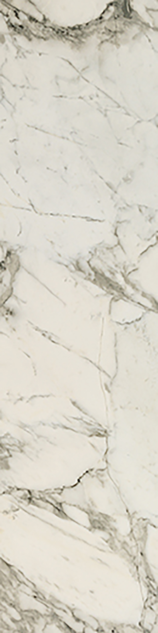 Odyssey Arabescato Polished 3"X12 | Color Body Porcelain | Floor/Wall Tile