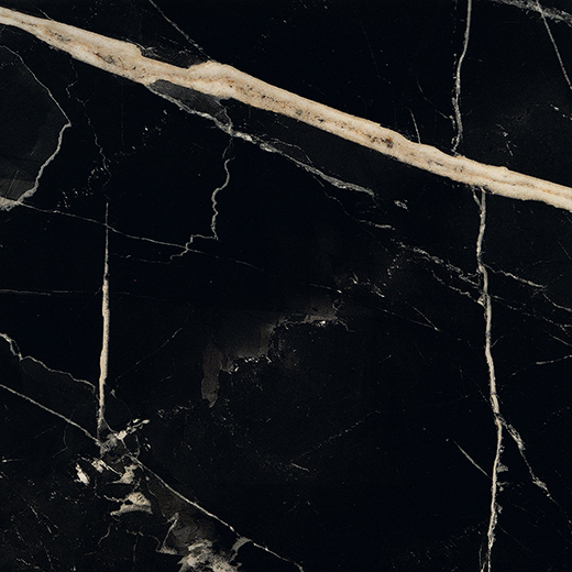 Odyssey Nero Fondo Matte 24"X24 | Color Body Porcelain | Floor/Wall Tile
