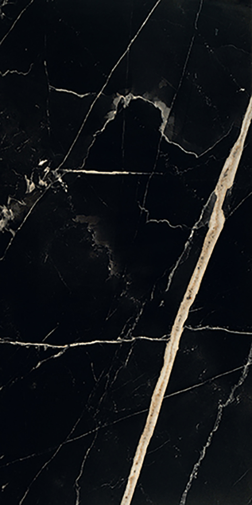Odyssey Nero Fondo Matte 30"X60 | Color Body Porcelain | Floor/Wall Tile