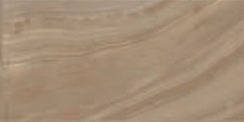 Outlet Sargente Brown Polished 12"x24 | Porcelain | Floor/Wall Tile