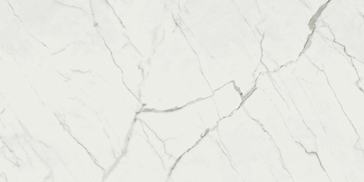 Oxford Statuario Venato Polished 24"X48 | Glazed Porcelain | Floor/Wall Tile