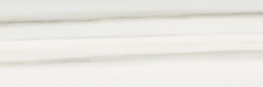 Oxford Zebrino Polished 4"X12 | Glazed Porcelain | Floor/Wall Tile