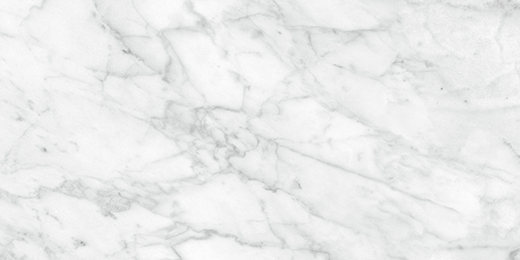 Palladium Carrara Abisso Polished 12"X24 | Porcelain | Floor/Wall Tile