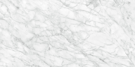 Palladium Carrara Abisso Polished 24"X48 | Porcelain | Floor/Wall Tile