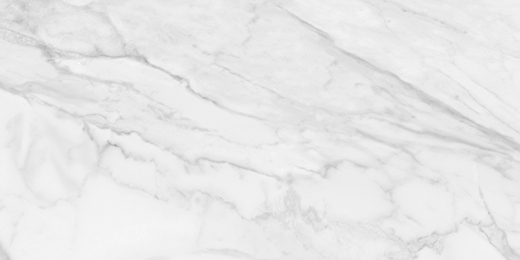 Palladium Statuario Brina Matte 24"X48 | Porcelain | Floor/Wall Tile