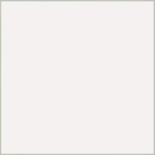 Pane Bianco Polished 24"x24 | Color Body Porcelain | Floor/Wall Tile