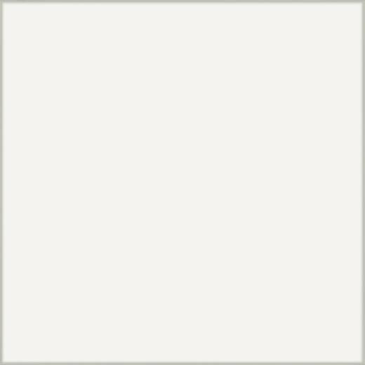 Pane Bianco Polished 24"x24 | Color Body Porcelain | Floor/Wall Tile