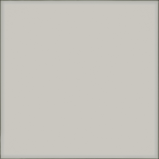 Pane Fume Polished 24"x24 | Color Body Porcelain | Floor/Wall Tile