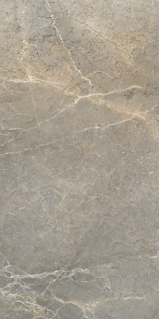 Peak Earth Worn 12"x24 | Color Body Porcelain | Floor/Wall Tile