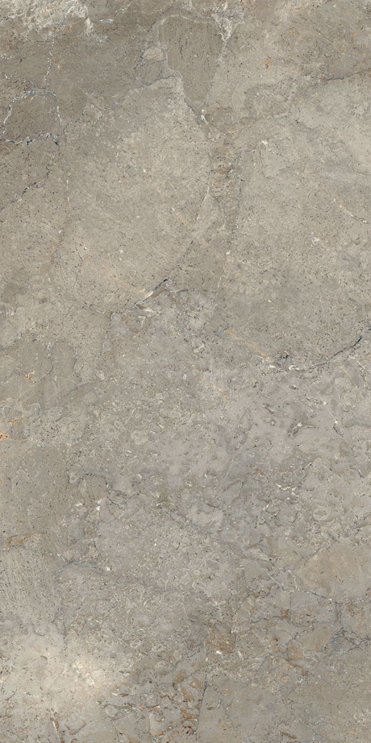 Peak Earth Worn 24"x48 | Color Body Porcelain | Floor/Wall Tile