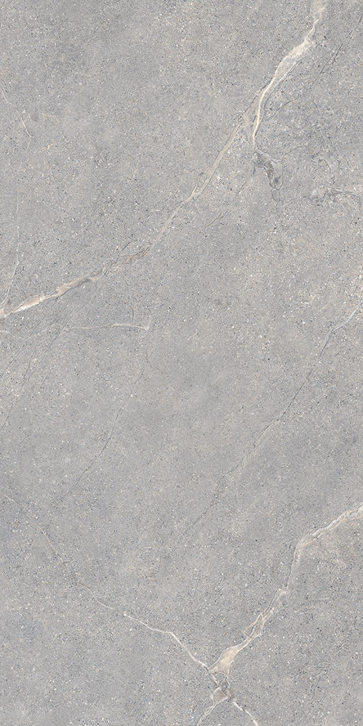Peak Gray Worn 12"x24 | Color Body Porcelain | Floor/Wall Tile