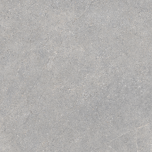 Peak Gray Worn 24"x24 | Color Body Porcelain | Floor/Wall Tile