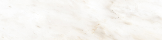 Piazza Calacatta Ambra Matte 3"X12" | Porcelain | Floor/Wall Tile