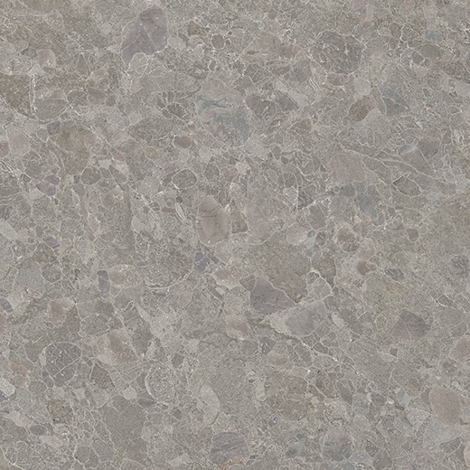 Pompano Fossil Natural 24"x24 | Glazed Porcelain | Floor/Wall Tile