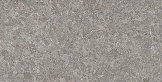 Pompano Fossil Anti-Slip 24"x48 | Glazed Porcelain | Outdoor Paver