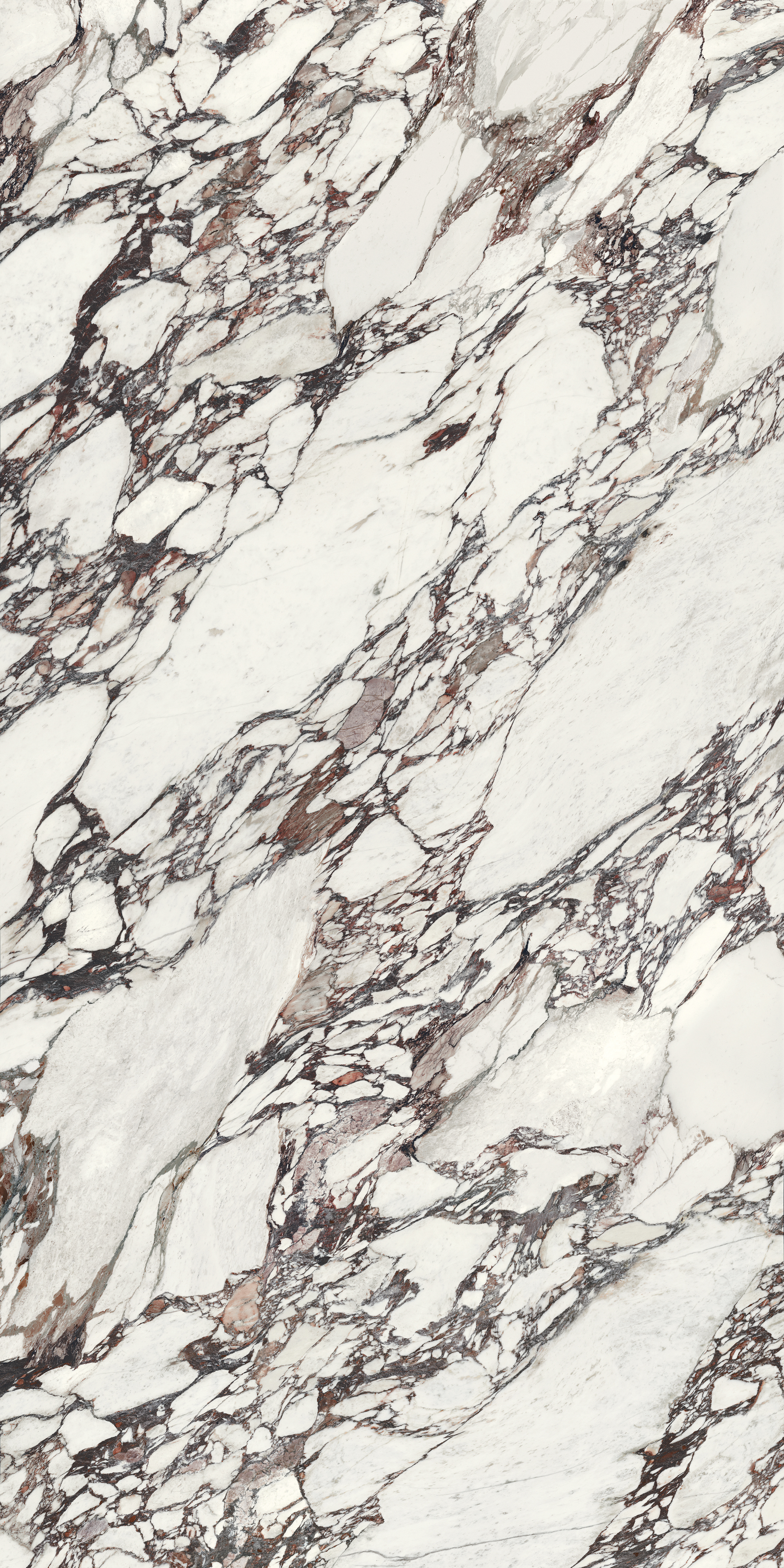 Colossus Arabescato Viola Polished 63"x126" | Color Body Porcelain | Slab