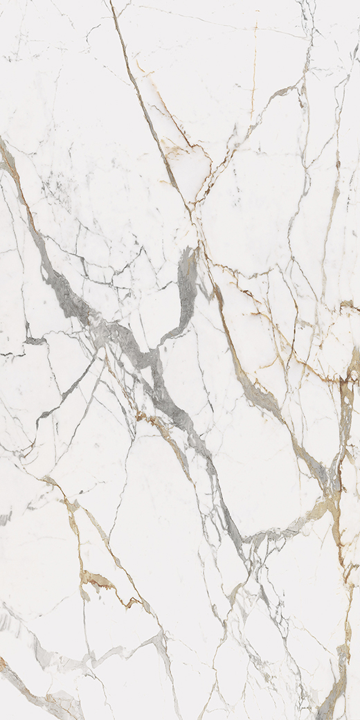Maximus Eternal Gold Polished 63"x126" | Color Body Porcelain | Slab