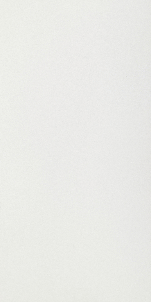 Maximus Pure White Matte 63"x126" | Color Body Porcelain | Slab