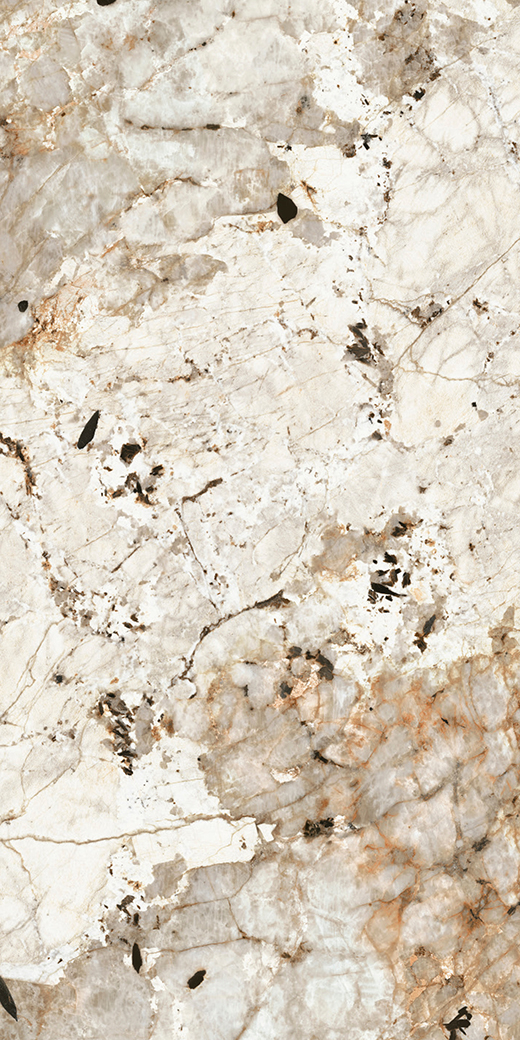 Maximus Tundra Polished 63"x126" | Color Body Porcelain | Slab