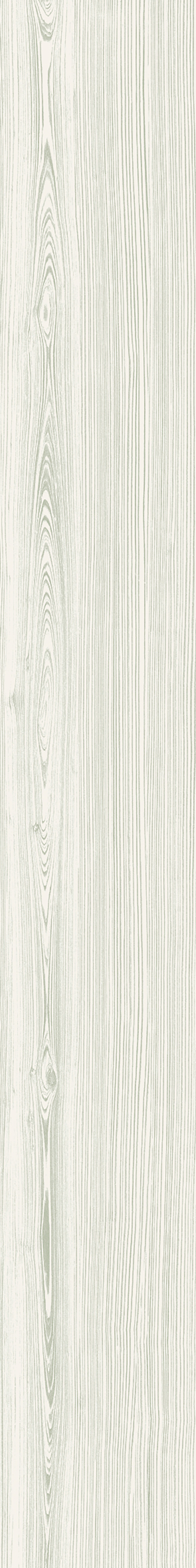 Outlet Promenade Green Matte 6"x48 | Color Body Porcelain | Floor/Wall Tile