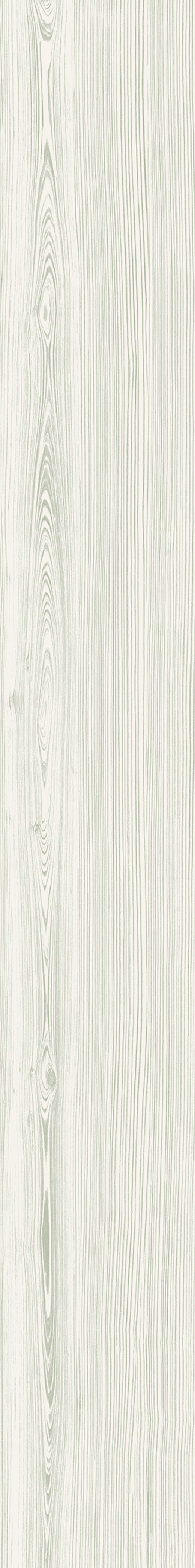 Outlet Promenade Green Matte 6"x48 | Color Body Porcelain | Floor/Wall Tile