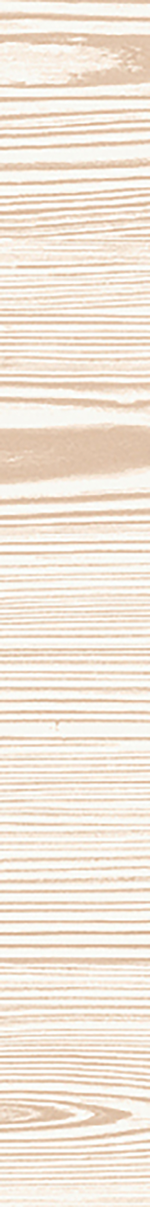 Outlet Promenade Rose Matte 3"x24 | Color Body Porcelain | Floor/Wall Tile