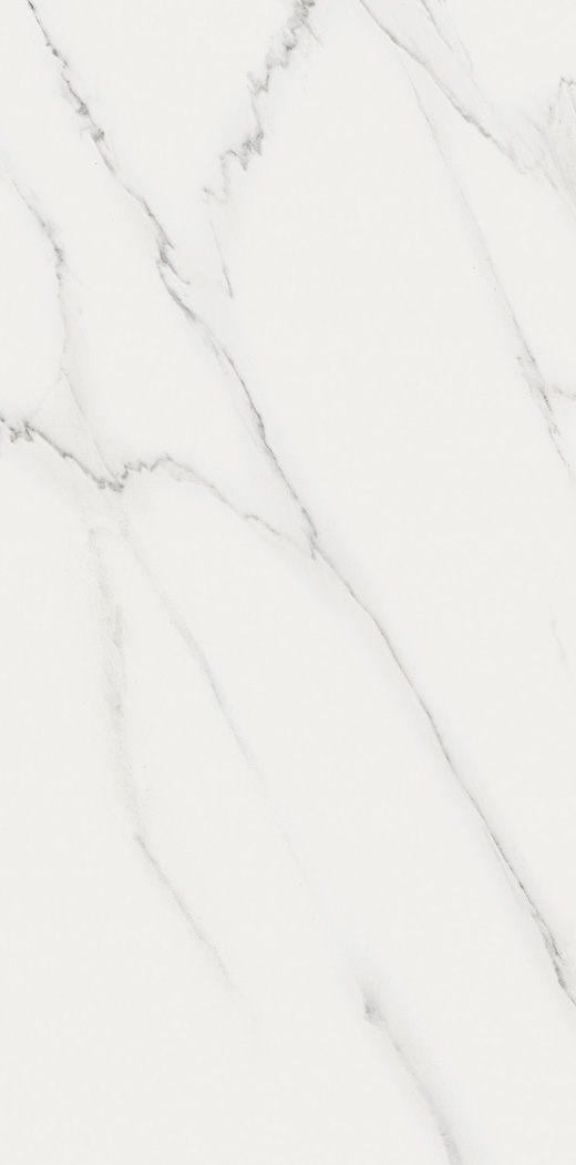 Outlet Realize Carrara Rectified Polished 12"x24 | Color Body Porcelain | Floor/Wall Tile