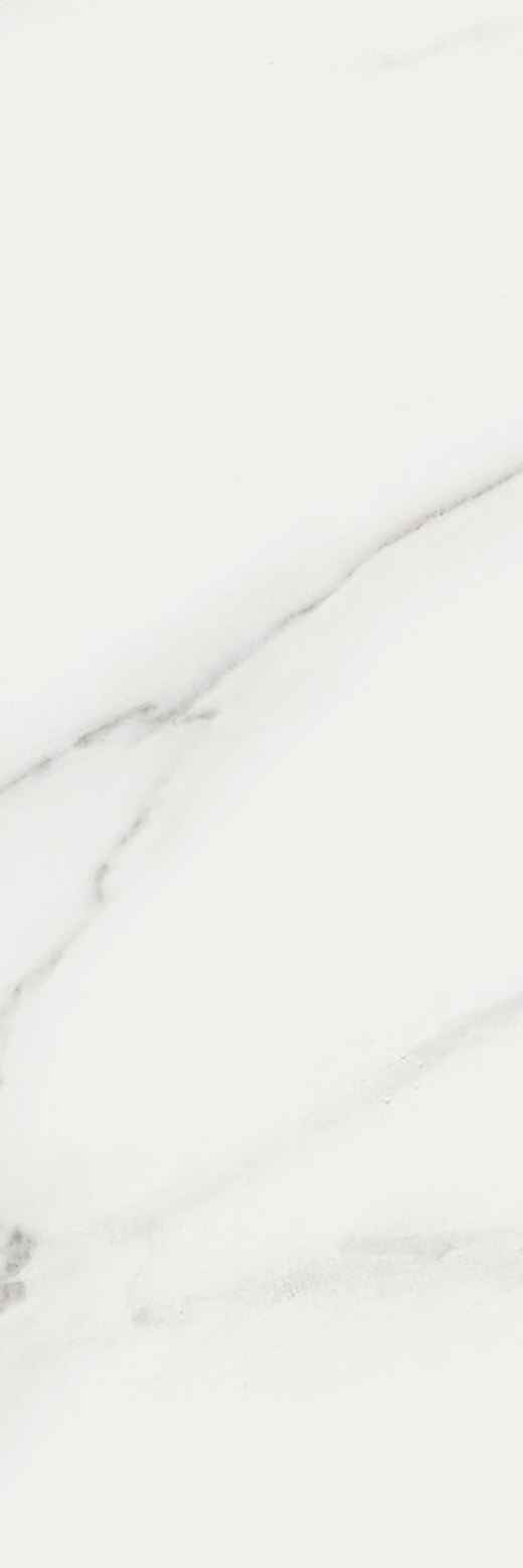 Outlet Realize Carrara Polished 4"x12 | Color Body Porcelain | Floor/Wall Tile